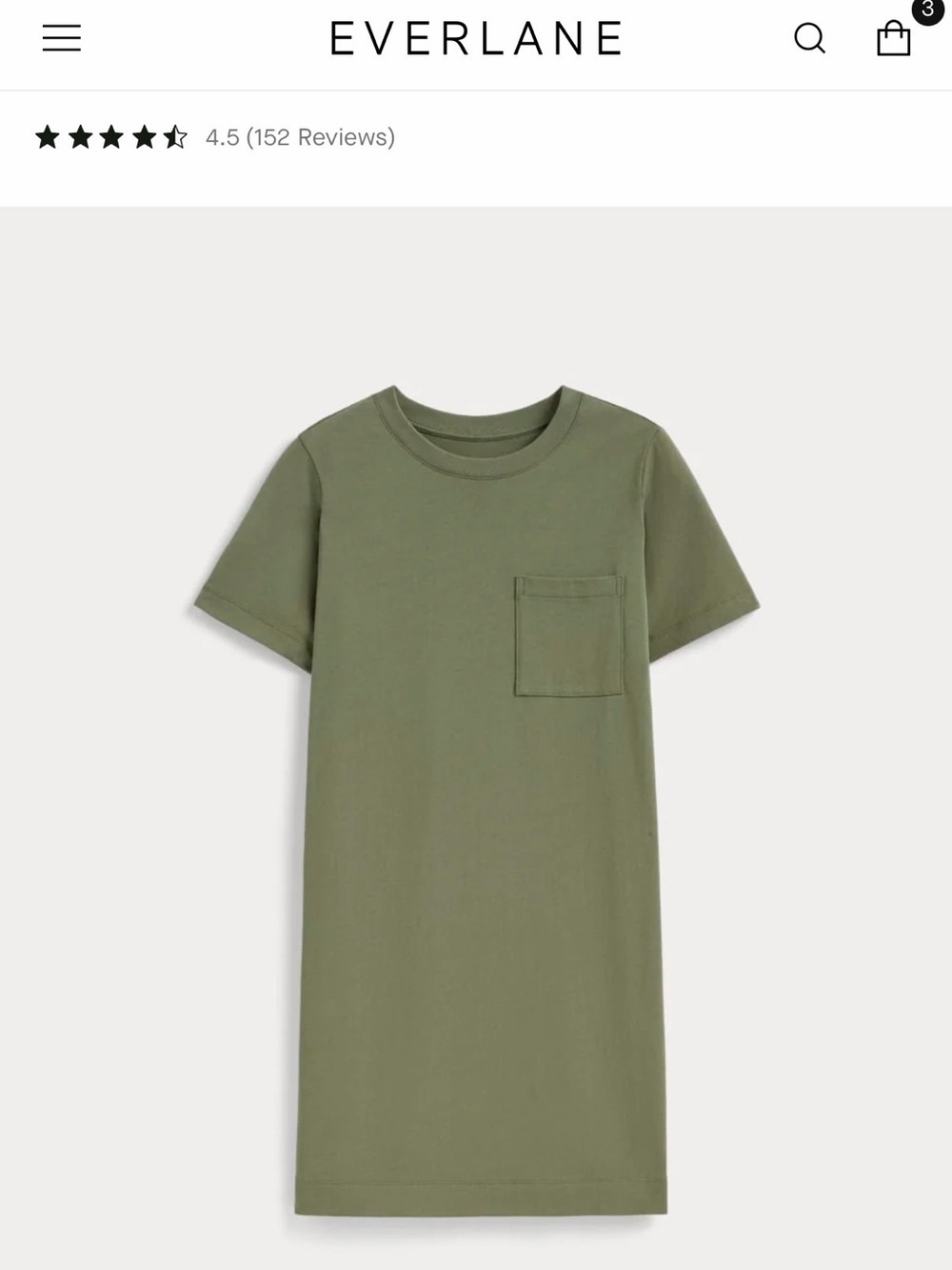 Everlane Organic Cotton Weekend Tee Dress